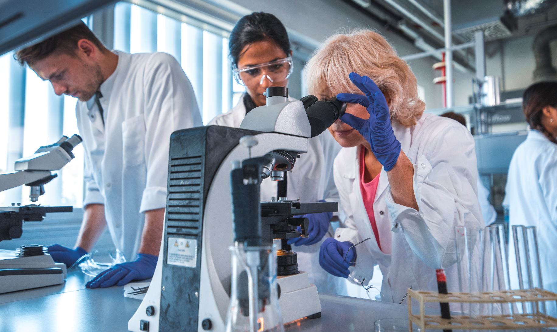 fondation recherches